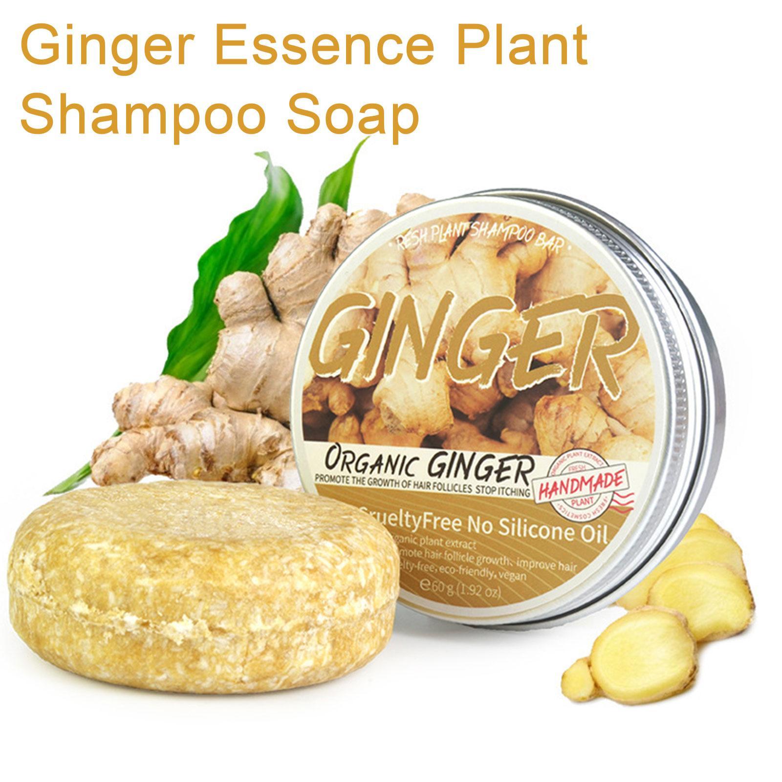 Zenzero Polygonum sapone Shamp - Hair Care Organic recensione e prezzo